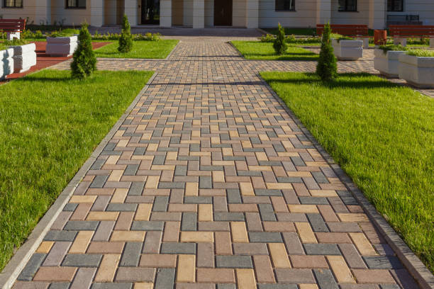 Best Local Driveway Pavers  in Parkville, MD